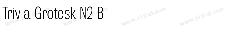Trivia Grotesk N2 B字体转换 Trivia Grotesk N2 B字体转换